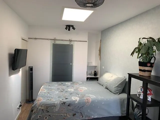 Daire Sunny Place Zandvoort Hollanda