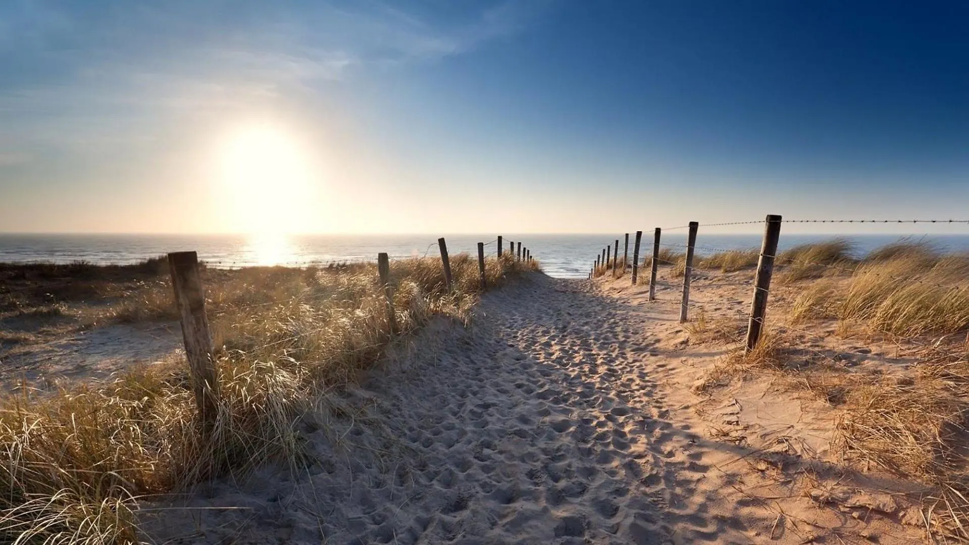 Daire Sunny Place Zandvoort